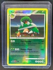 Torterra