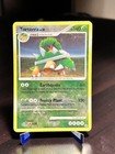 Torterra