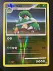 Torterra