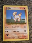 Ponyta