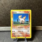 Ponyta