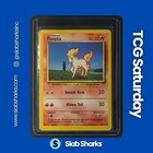 Ponyta