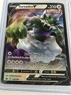 Tornadus V