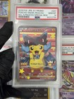Poncho-Wearing Pikachu 