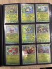 Bug Catching Set