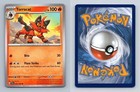 Torracat