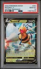 Beedrill V