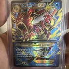 M Gyarados EX