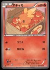 Torchic