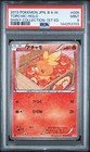Torchic