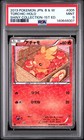 Torchic
