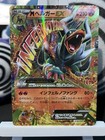 Mega Houndoom EX
