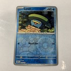 Lotad