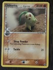 Chikorita