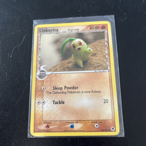 Chikorita