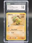 Chikorita
