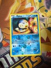 Piplup