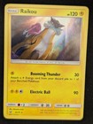 Raikou