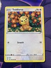 Teddiursa