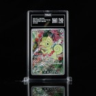 Kecleon
