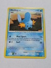 Mudkip