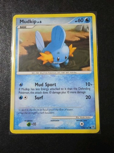 Mudkip
