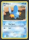 Mudkip
