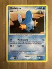 Mudkip