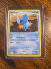 Mudkip