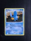Mudkip