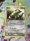 Furret