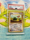 Pidgey