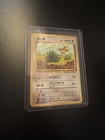 Pidgey