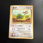 Pidgey