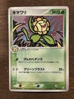 Sunflora