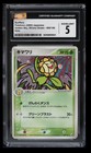 Sunflora
