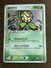 Sunflora