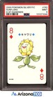Sunflora