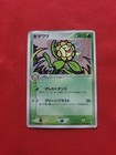 Sunflora