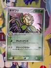 Sunflora