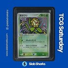 Sunflora