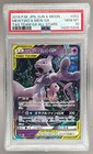 Mewtwo & Mew GX
