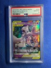 Mewtwo & Mew GX