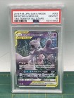 Mewtwo & Mew GX