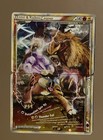 Entei & Raikou