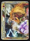 Entei & Raikou