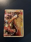 Entei & Raikou