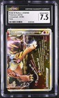 Entei & Raikou