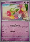 Lillie's Comfey