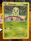 Chikorita